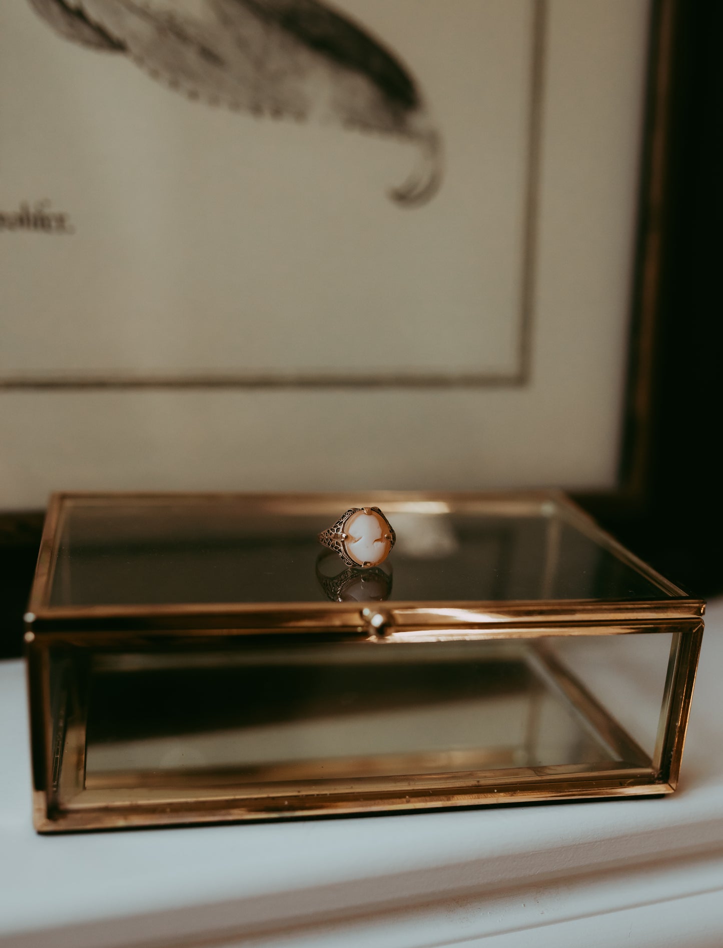 My Darling Juliet | Antique 14K Gold Cameo Ring
