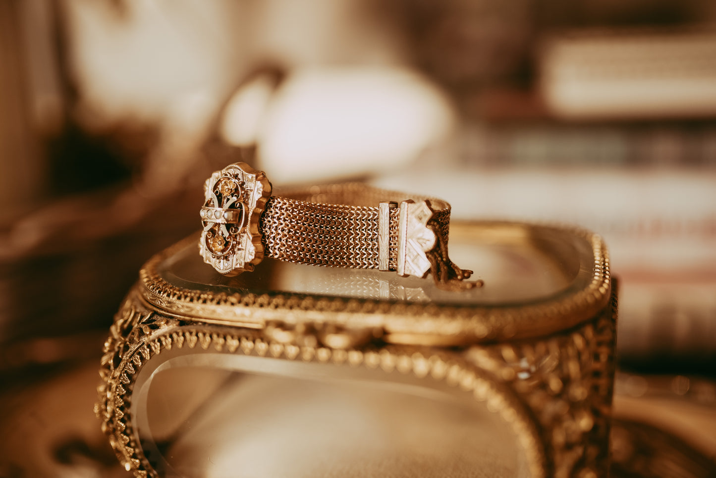 My Darling Juliet | Gold Filled Victorian Mesh Seed Pearl Slide Bracelet