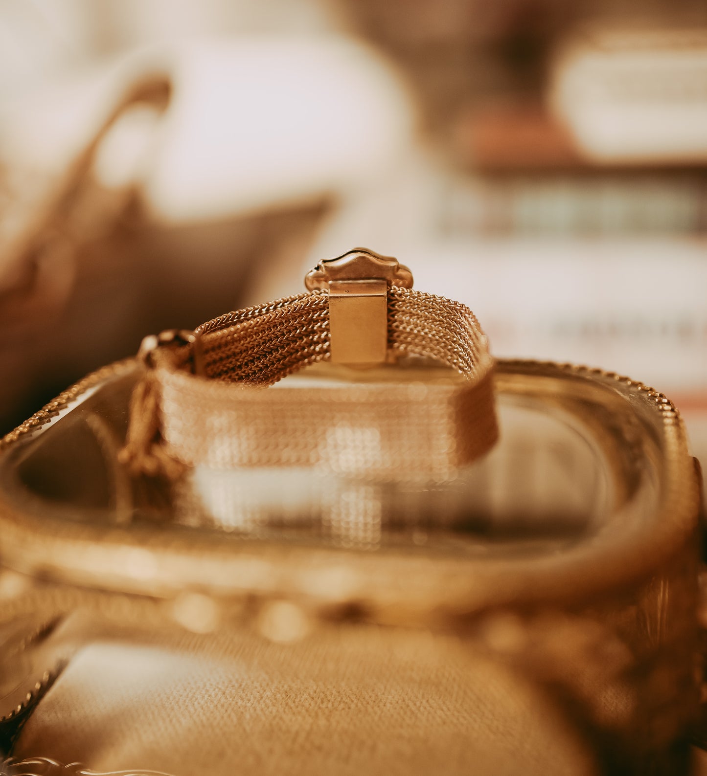 My Darling Juliet | Gold Filled Victorian Mesh Seed Pearl Slide Bracelet