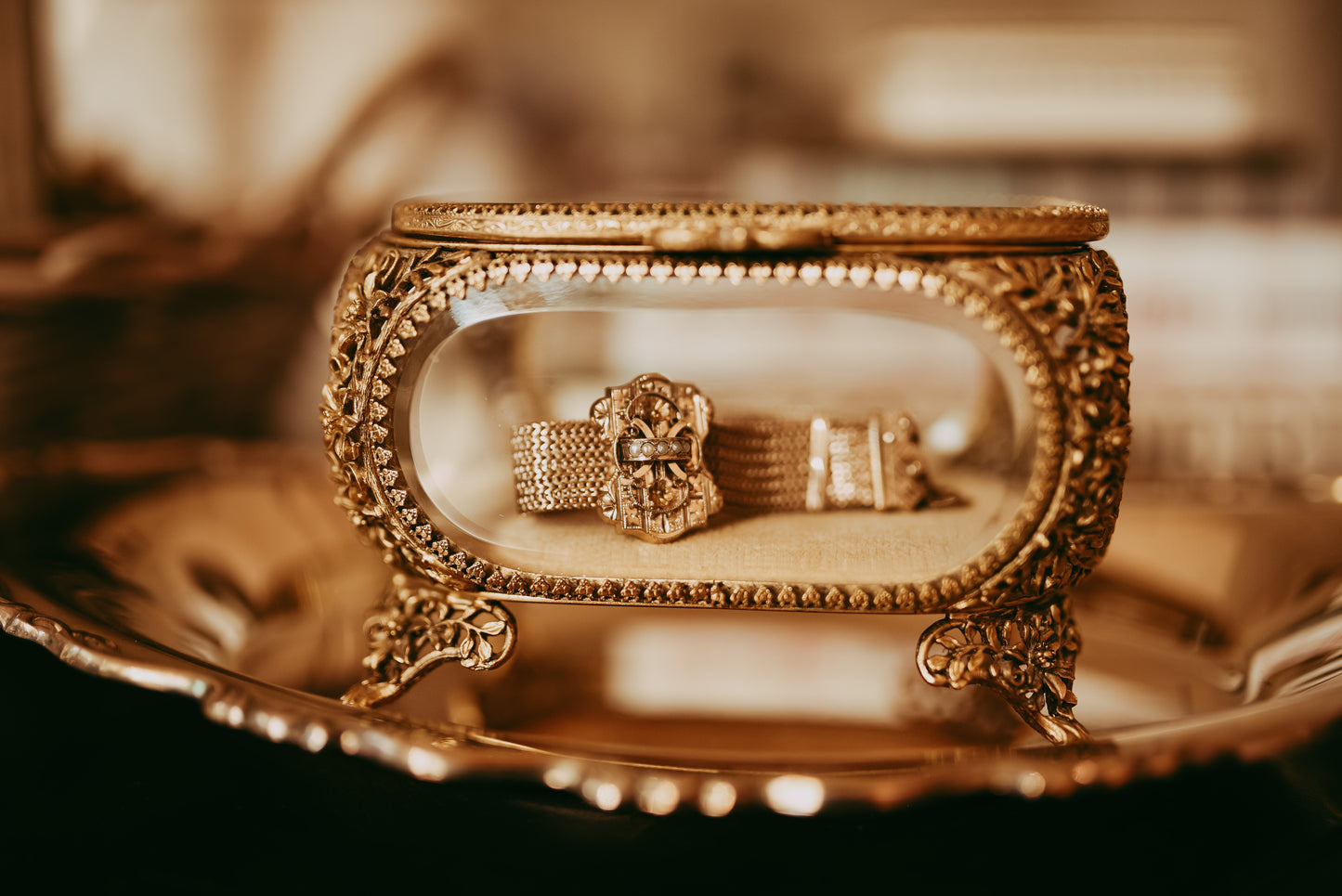 My Darling Juliet | Gold Filled Victorian Mesh Seed Pearl Slide Bracelet
