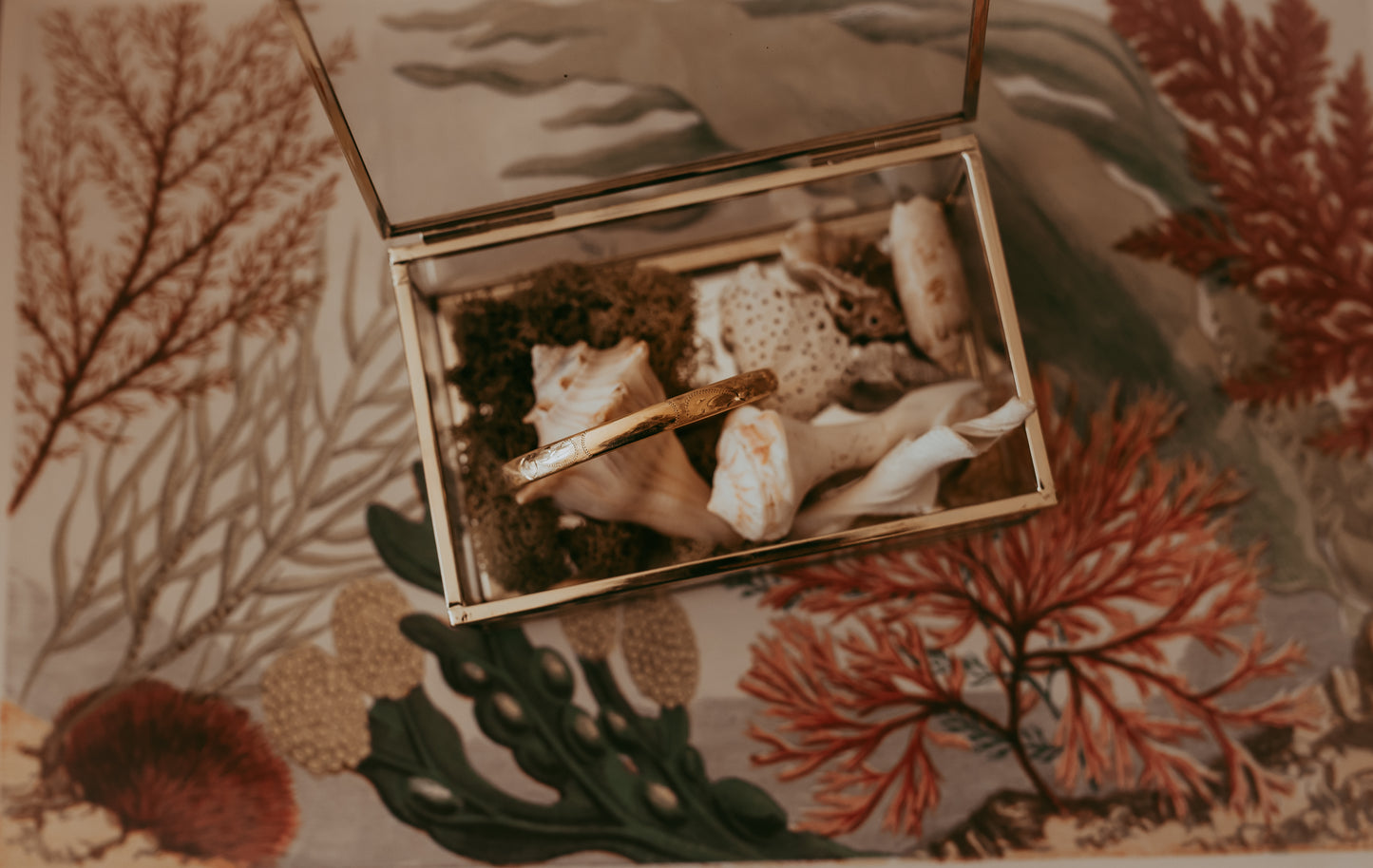 My Darling Juliet | Binder Brothers 14K Gold-Filled Floral Bracelet