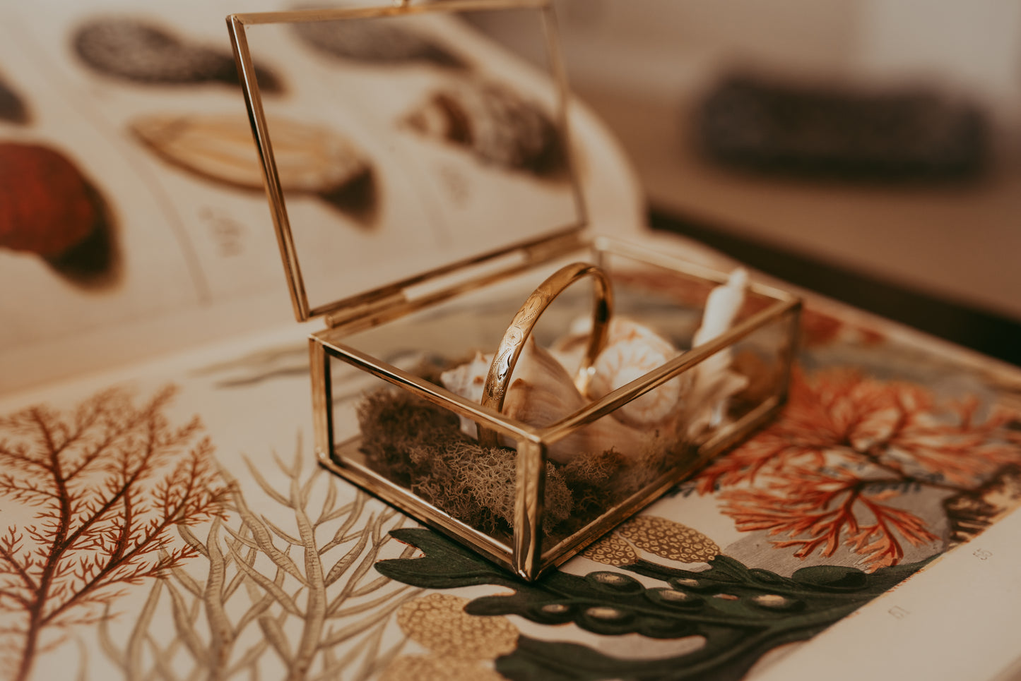 My Darling Juliet | Binder Brothers 14K Gold-Filled Floral Bracelet